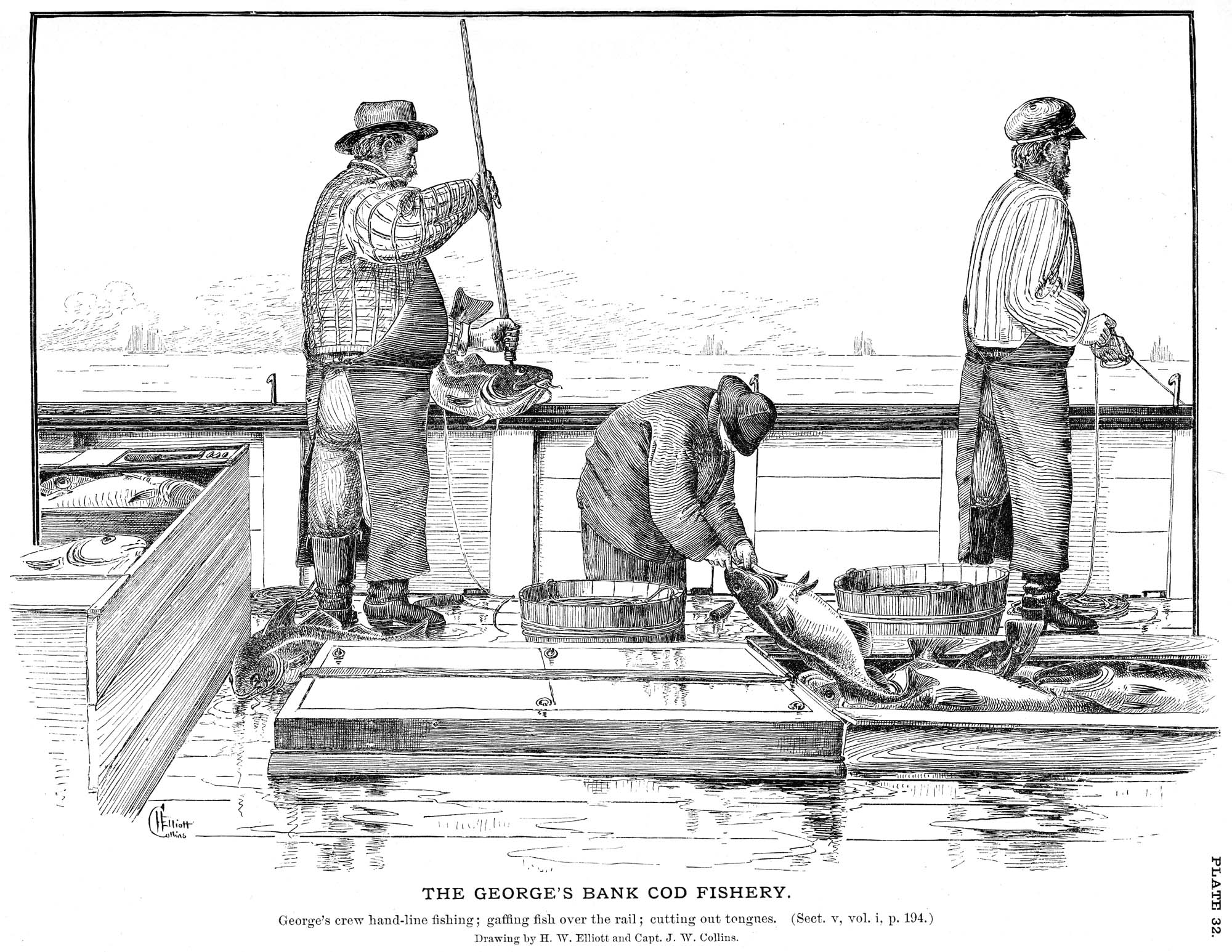 Handline fishing - Wikipedia